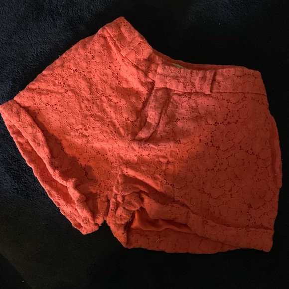 Shorts - Picture 4 of 4